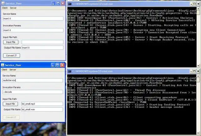 Download web tool or web app Service Peer
