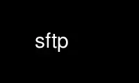 Ejecute sftp en el proveedor de alojamiento gratuito de OnWorks a través de Ubuntu Online, Fedora Online, emulador en línea de Windows o emulador en línea de MAC OS