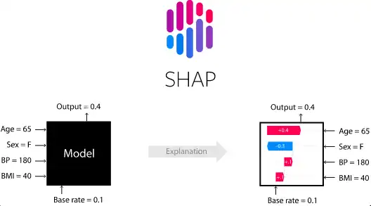 Download web tool or web app SHAP