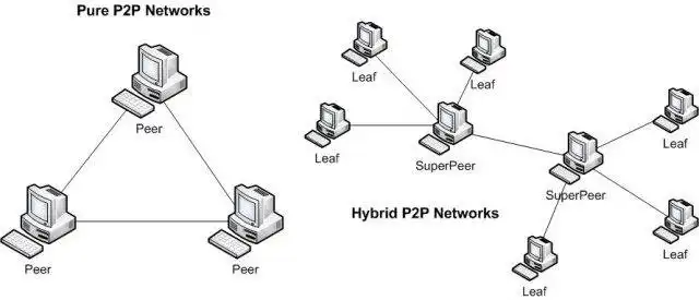 下载网络工具或网络应用程序 Sharp2p