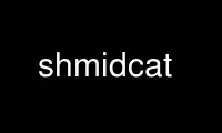 Run shmidcat in OnWorks free hosting provider over Ubuntu Online, Fedora Online, Windows online emulator or MAC OS online emulator