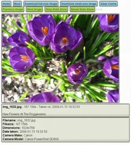 Завантажте веб-інструмент або веб-програму Simple Ajax Image Gallery