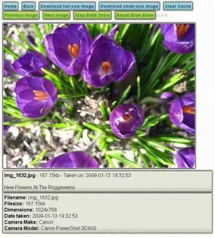 Download web tool or web app Simple Ajax Image Gallery