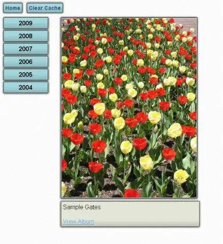 הורד כלי אינטרנט או אפליקציית אינטרנט Simple Ajax Image Gallery
