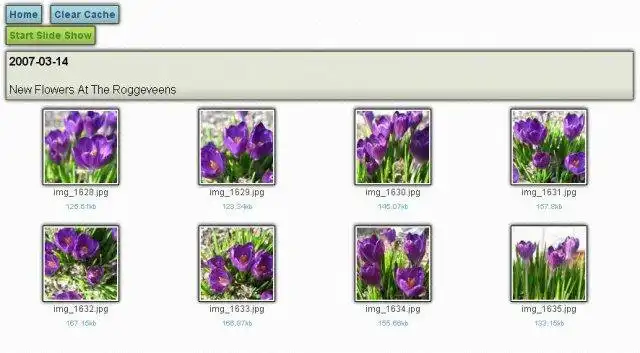 Завантажте веб-інструмент або веб-програму Simple Ajax Image Gallery