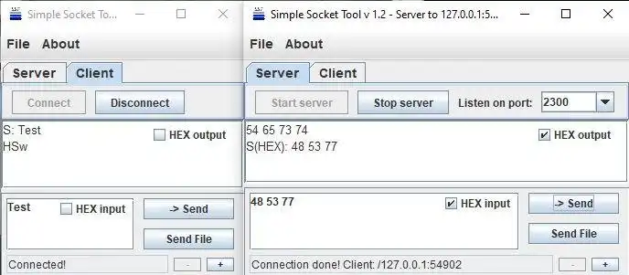 Download web tool or web app Simple Socket Tool