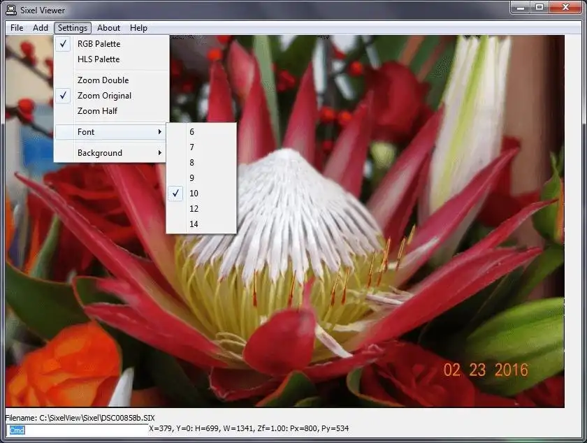 Download web tool or web app SixelViewer