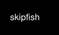 Run skipfish in OnWorks free hosting provider over Ubuntu Online, Fedora Online, Windows online emulator or MAC OS online emulator