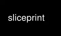 Run sliceprint in OnWorks free hosting provider over Ubuntu Online, Fedora Online, Windows online emulator or MAC OS online emulator