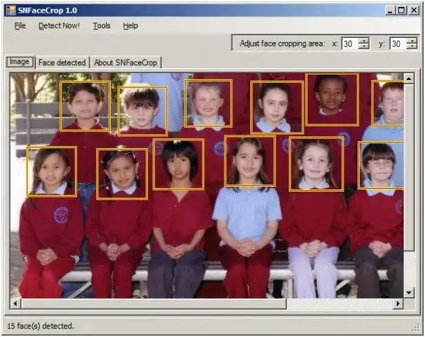 Download web tool or web app SNFaceCrop, face detection and cropping 
