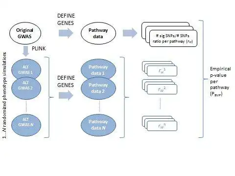 Download web tool or web app SNP ratio test to run in Windows online over Linux online