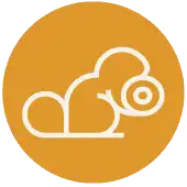 Free download soajs Linux app to run online in Ubuntu online, Fedora online or Debian online
