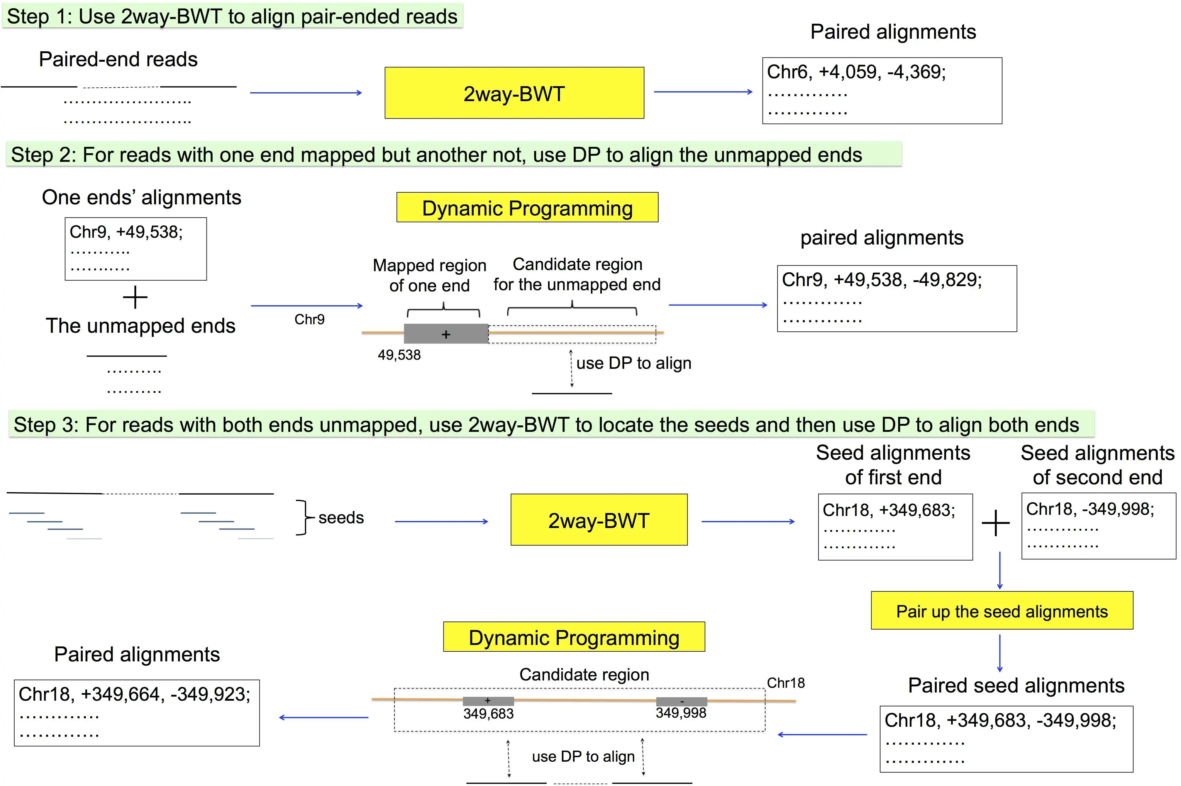 Download web tool or web app SOAP3-DP