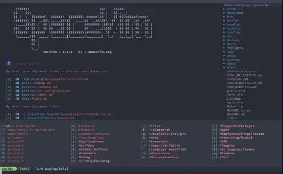 下载网络工具或网络应用 SpaceVim