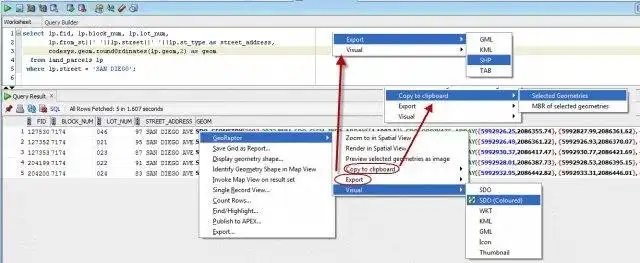Download web tool or web app Spatial Viewer for Oracle SQL Developer