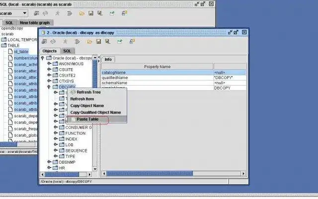 Download web tool or web app SQuirreL DB Copy Plugin