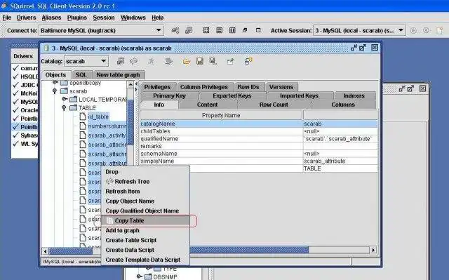 Download web tool or web app SQuirreL DB Copy Plugin
