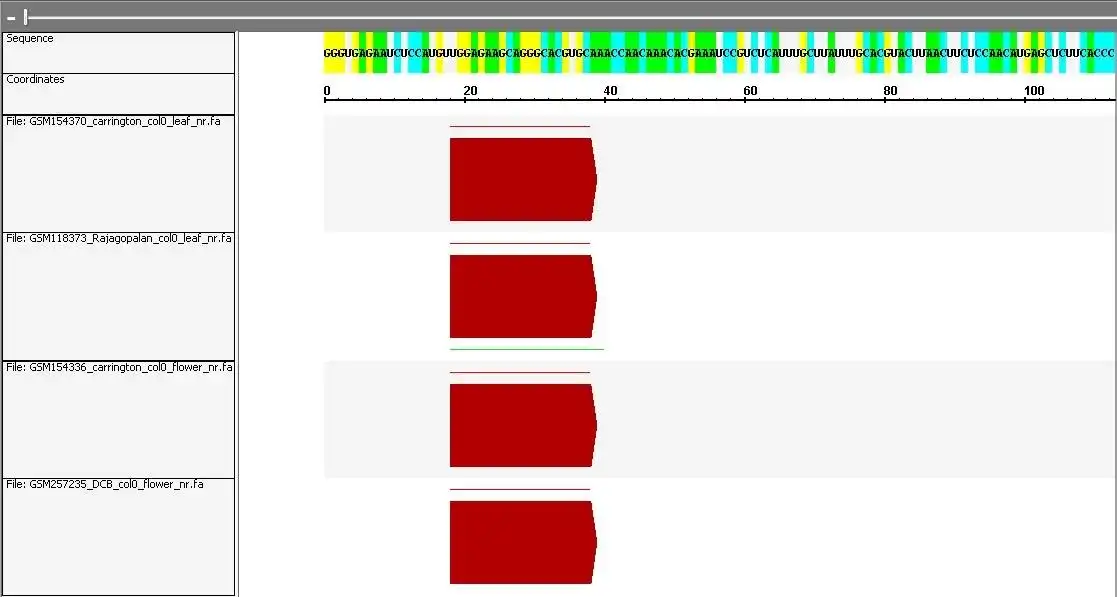 Download web tool or web app sRNAWorkbench