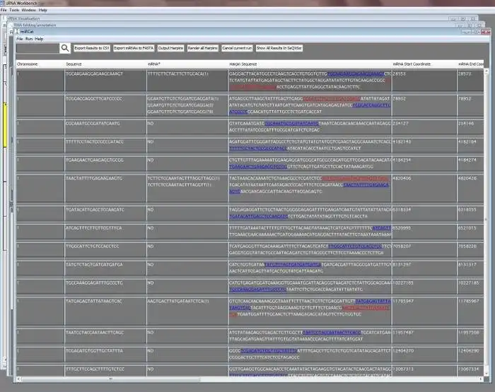 Download web tool or web app sRNAWorkbench