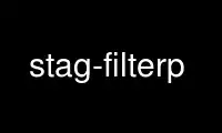 Run stag-filterp in OnWorks free hosting provider over Ubuntu Online, Fedora Online, Windows online emulator or MAC OS online emulator