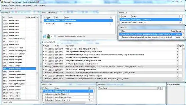 Download web tool or web app Stemma to run in Windows online over Linux online
