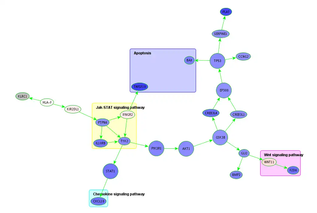 Download webtool of webapp Subnetwork Analysis Plugin voor BiNA om online in Linux te draaien