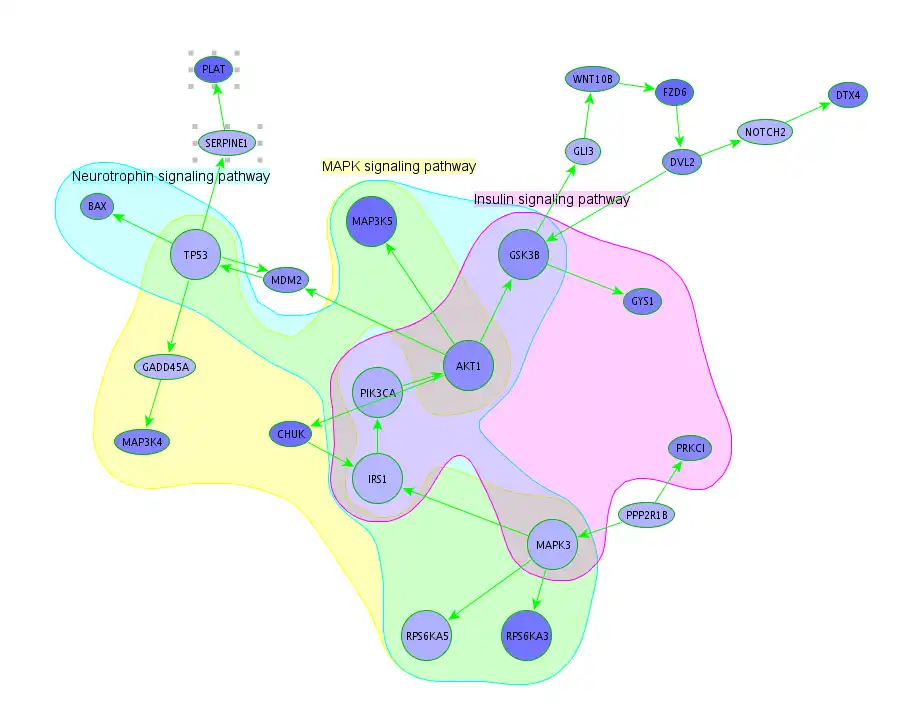 Download web tool or web app Subnetwork Analysis Plugin for BiNA to run in Linux online