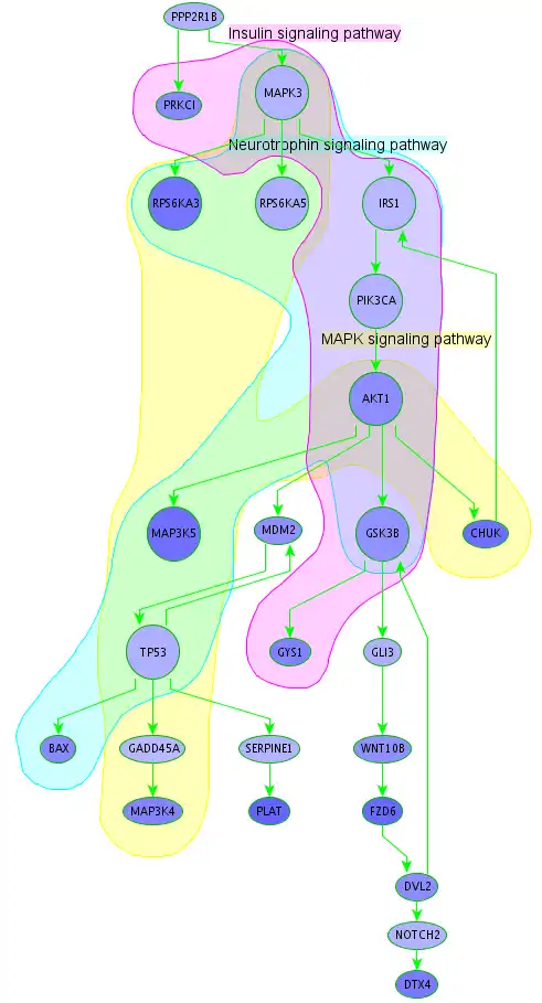 Download webtool of webapp Subnetwork Analysis Plugin voor BiNA om online in Linux te draaien