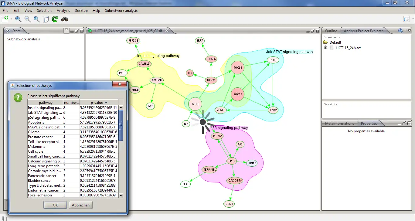 Laden Sie das Web-Tool oder die Web-App Subnetwork Analysis Plugin für BiNA herunter, um es unter Windows online über Linux online auszuführen