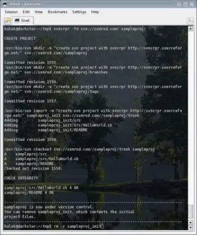 Download web tool or web app SVN Create Project