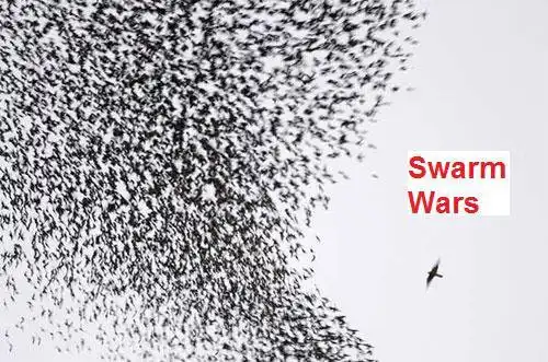 Download web tool or web app Swarm Wars to run in Windows online over Linux online