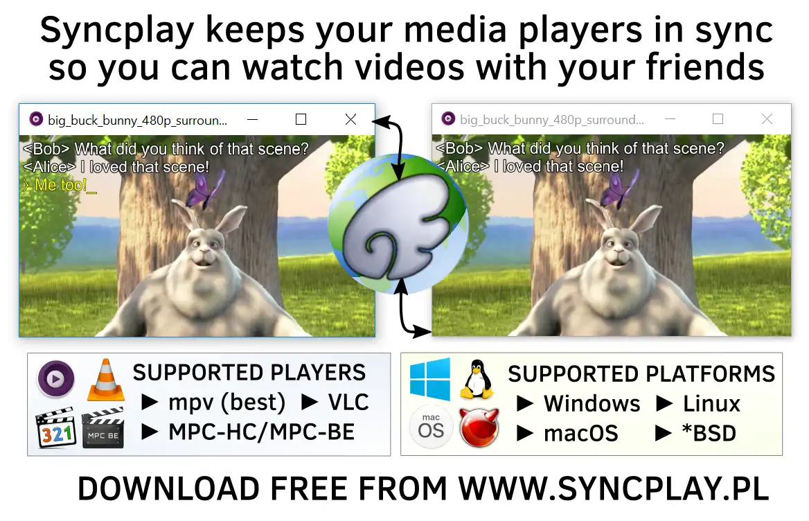 Download web tool or web app Syncplay