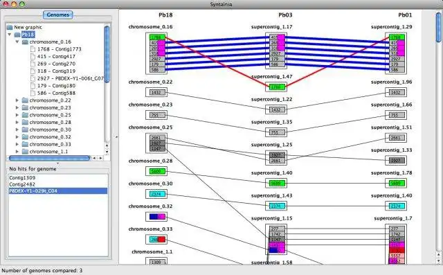 ดาวน์โหลดเครื่องมือเว็บหรือเว็บแอป Syntainia เพื่อทำงานใน Windows ออนไลน์ผ่าน Linux ออนไลน์