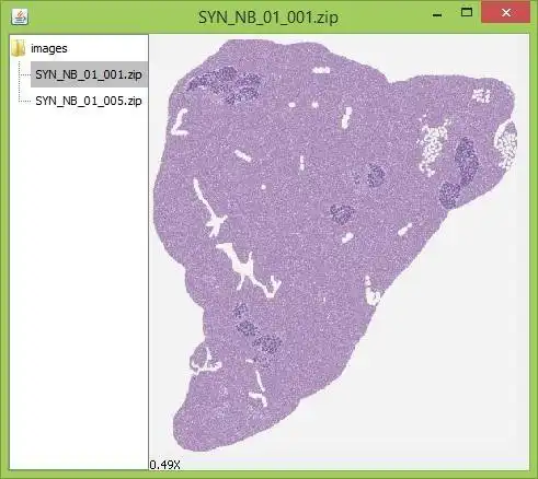 Download web tool or web app SyntheticWSI to run in Linux online