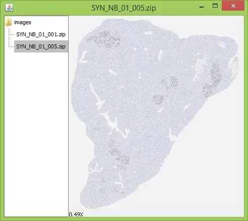 Descargue la herramienta web o la aplicación web SyntheticWSI para ejecutar en Linux en línea