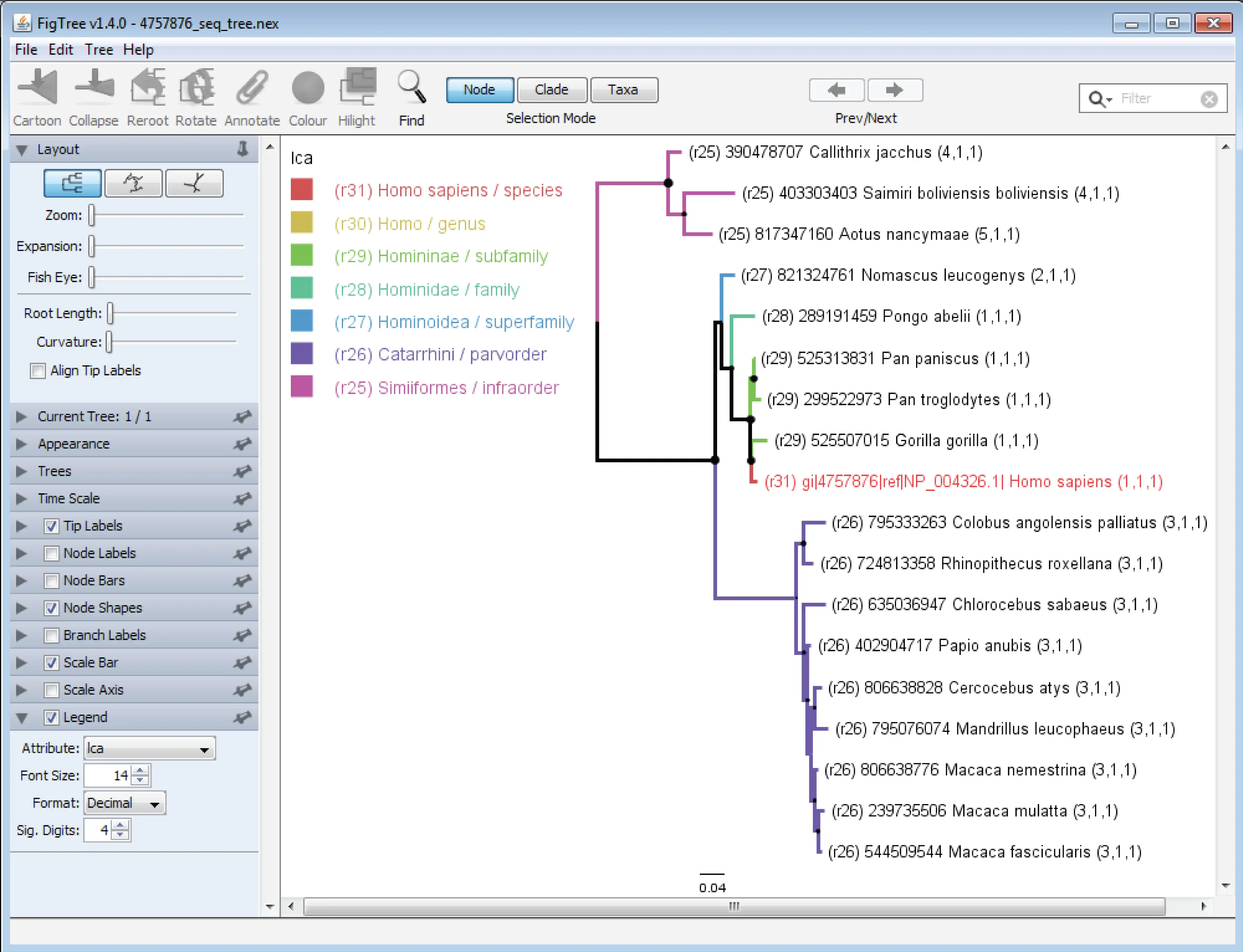 Download web tool or web app TaxOnTree