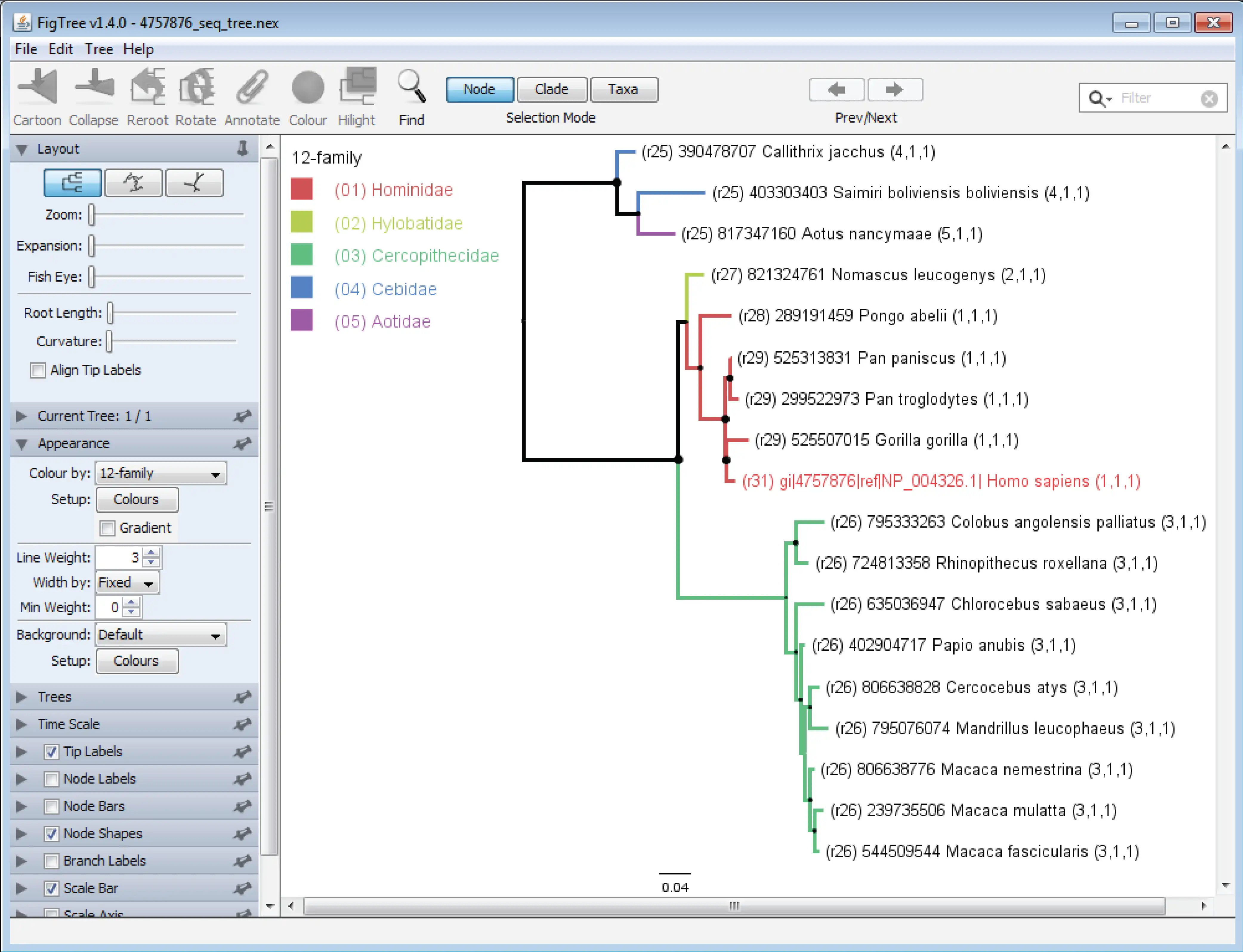 Descargue la herramienta web o la aplicación web TaxOnTree