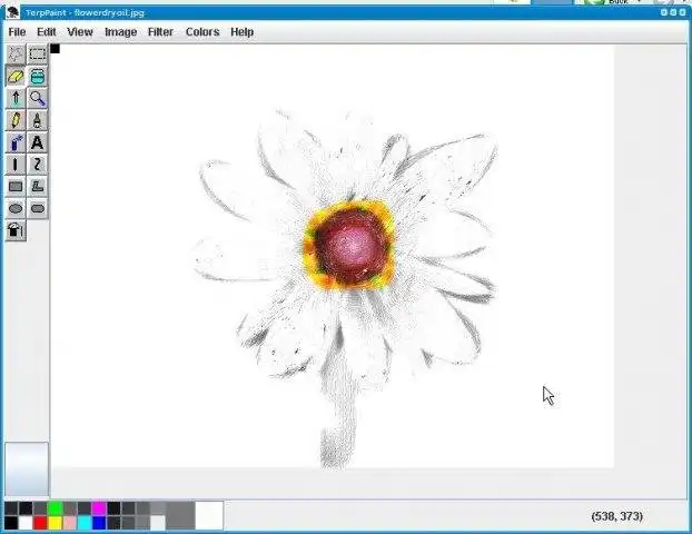 Mag-download ng web tool o web app TerpPaint -- Java paint program