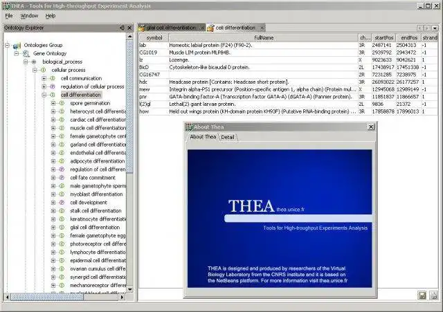 I-download ang web tool o web app na Thea para tumakbo sa Windows online sa Linux online
