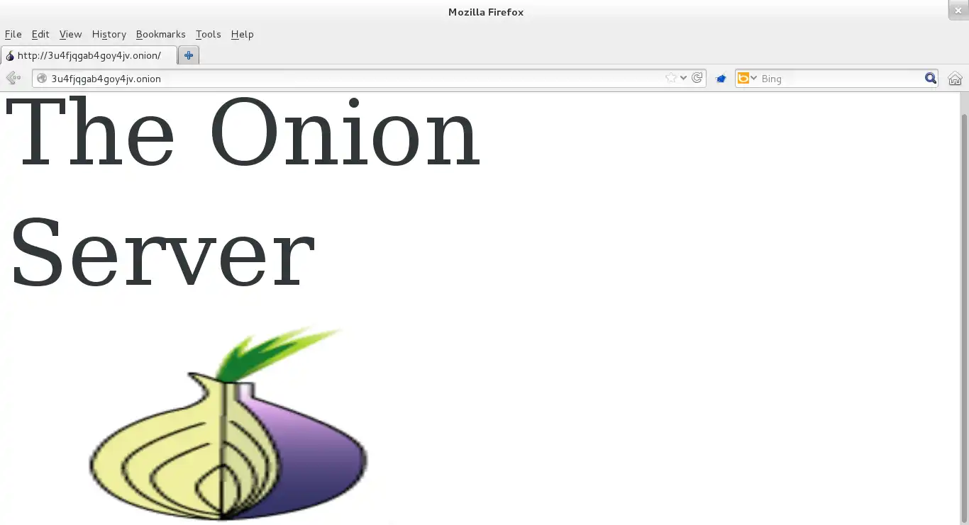 下载网络工具或网络应用程序 The Onion Server