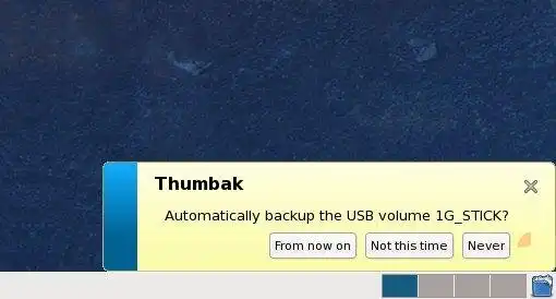 Download web tool or web app Thumbak