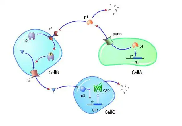 Download web tool or web app TinkerCell : CAD for Synthetic Biology to run in Linux online