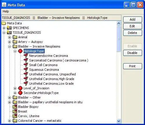 Download web tool or web app tmaj to run in Linux online
