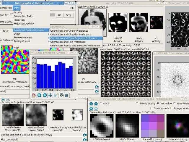 Download web tool or web app Topographica