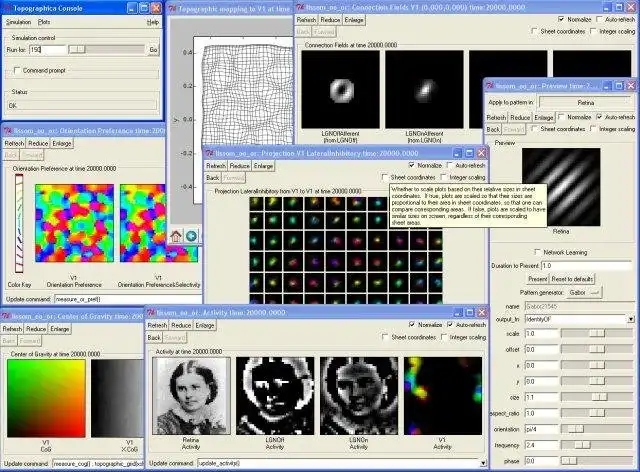 Download web tool or web app Topographica