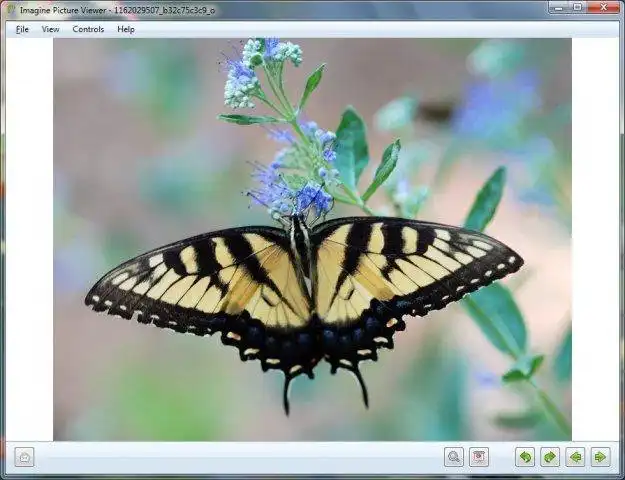 Download web tool or web app Агентство to run in Windows online over Linux online