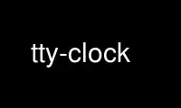 Run tty-clock in OnWorks free hosting provider over Ubuntu Online, Fedora Online, Windows online emulator or MAC OS online emulator