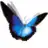 Free download Tuniac Windows app to run online win Wine in Ubuntu online, Fedora online or Debian online