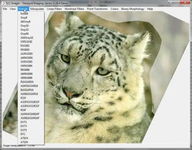 Download web tool or web app Vampyre Imaging Library