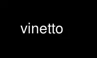 Run vinetto in OnWorks free hosting provider over Ubuntu Online, Fedora Online, Windows online emulator or MAC OS online emulator